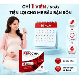 Ferocynat hộp 30 viên.bổ sung Sắt Hữu Cơ,Ngăn Ngừa Thiếu Máu phụ nữ chuẩn bị mang thai,đang mang thai> BUN BUN SHOP 20 5