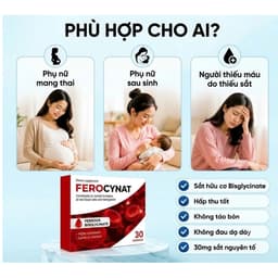 Ferocynat hộp 30 viên.bổ sung Sắt Hữu Cơ,Ngăn Ngừa Thiếu Máu phụ nữ chuẩn bị mang thai,đang mang thai> BUN BUN SHOP 20 6
