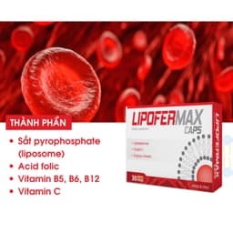 Lipofermax Caps Hộp 30viên. Bổ sung Sắt, Acid Folic và Vitamin C, B5, B6, B12 cho Bà bầu và Mẹ sau sinh> BUN BUN SHOP 20 3