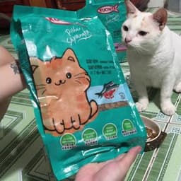 Hạt Kucinta Vị Cá Biển 1kg Cho Mèo Trưởng Thành, Dinh Dưỡng Cân Bằng | Yellow Pet 4