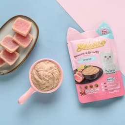 Pate Bellotta 85g Cho Mèo Trưởng Thành – Thức Ăn Ướt Có Taurine – Combo 3–6 Gói | Yellow Pet 2