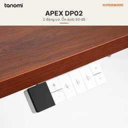 Bàn nâng hạ HyperWork Apex DP02 2 động cơ 3 stage Tải 100 kg Nâng 62-128 cm bàn đứng làm việc bàn nâng hạ điện 3