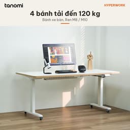 Bộ bánh xe cho bàn HyperWork DC01 Bộ 4 bánh Ren M8 M10 Tải 120 kg Có khoá bánh Vòng bi 608ZZ Bánh 38 mm 4