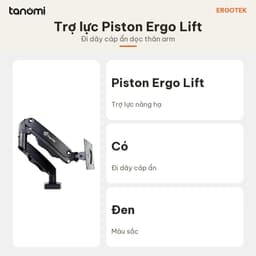 Giá đỡ màn hình Ergotek EZ80 1 màn 17-34 inch 2-9 kg Piston Ergo Lift Đi dây cáp ẩn VESA 75x75 100x100 mm 6
