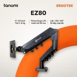 Giá đỡ màn hình Ergotek EZ80 1 màn 17-34 inch 2-9 kg Piston Ergo Lift Đi dây cáp ẩn VESA 75x75 100x100 mm 1