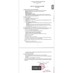 Bột Matcha Umaya Ceremonial Essence Nhật Bản 100g 7