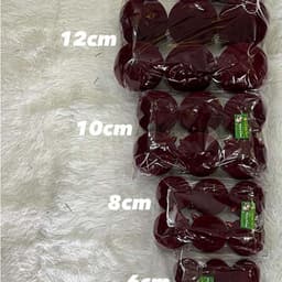 Set châu nhung SIZE 4-6-8-10-12-16 CM Đồ trang trí cây thông noel rực rỡ 4