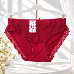 (Hàng loại đẹp)sét 5 - 10 quần chip nữ, quần lót nữ cao cấp, quần lót nữ chất thun lạnh phối ren mềm mát 40-69kg 4