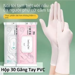 Hộp 100 chiếc Găng Tay Cao Su Không Bột Đen và Hộp 30 Găng Tay Rửa Chén Bằng PVC Mỏng Beesung. LMS 8