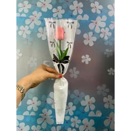 50 cái túi đựng hoa 1 bông hoạ tiết Hình Nơ 3