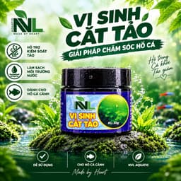 Vi Sinh Cắt Tảo NVL – Men Vi Sinh Xử Lý Tảo Nước Hồ Cá Cảnh 1