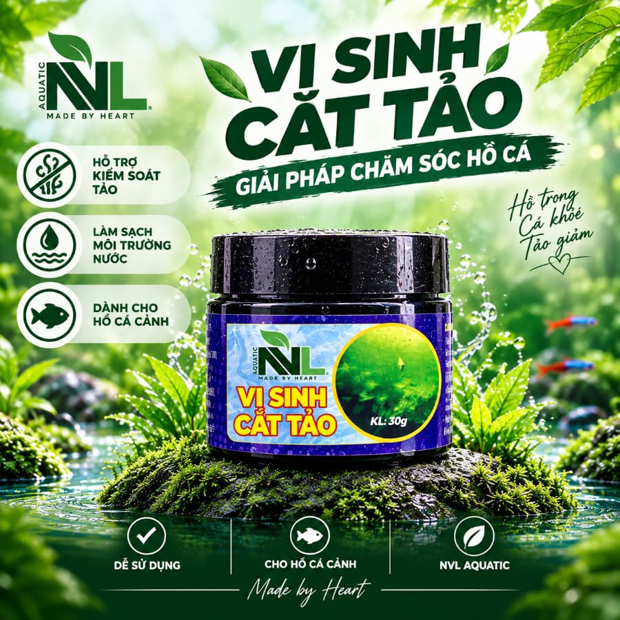 Vi Sinh Cắt Tảo NVL – Men Vi Sinh Xử Lý Tảo Nước Hồ Cá Cảnh