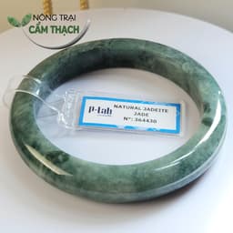 [Nông Trại Cẩm Thạch] Vòng Tay Ngọc Cẩm Thạch Xanh Dầu Đậm Tự Nhiên type A kèm giấy kiểm định PNJLab, ni 55mm 1