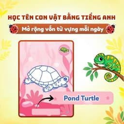 Sách Animals Coloring Book - Sách tô màu động vật cho bé 3
