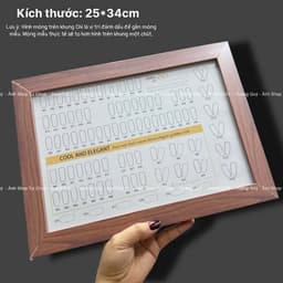 KHUNG TRƯNG BÀY MÓNG MẪU, TIỀN KỶ NIỆM DO NHÀ NƯỚC TẶNG , MÓNG LÀM MẪU, BĂNG DÍNH DÁN MẪU 4