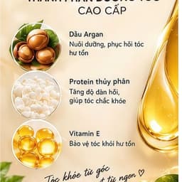 BEELL PLUS+ Bộ Dầu Gội Và Dầu Xả 500ml × 2 Chai 6