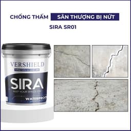 [Combo 2kg] Sơn Chống Thấm SIRA SR01 Cao Cấp – Chống Thấm Tường, Sân Thượng, Mái Nhà, Máng Xối 9