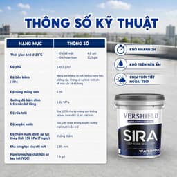 Sơn chống Thấm Tường Nhà, Sàn Mái, Sân Thượng, Máng Xối, Trần Nhà- SIRA SR01 9