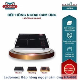Bếp Điện Hồng Ngoại Ladomax HA-666 2200W và GROPA G1-602. LMS 4