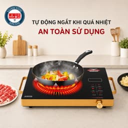 Bếp Điện Hồng Ngoại Ladomax HA-666 2200W và GROPA G1-602. LMS 3