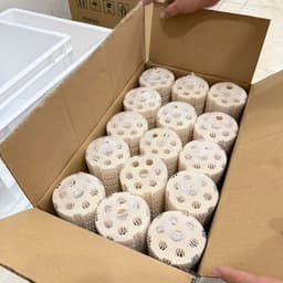 (1 Thùng) Sứ Lọc Củ Sen, Sứ Xoắn MANT, MBIO, Mavrakis V1,V2,V3, Vật Liệu Lọc Cao Cấp (4x16cm-8x25cm) 4