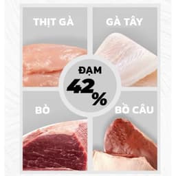 [FREESHIP] Thức ăn hạt SC Anial Nutrition đạm cao 42% không ngũ cốc siêu topping dành cho mèo mọi lứa tuổi cao cấp 3