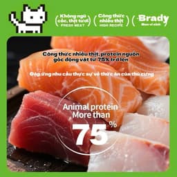 [FREESHIP] Thức ăn hạt SC Anial Nutrition đạm cao 42% không ngũ cốc siêu topping dành cho mèo mọi lứa tuổi cao cấp 4