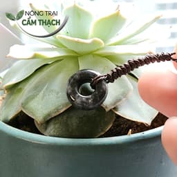 [Nông Trại Cẩm Thạch] Móc Treo Điện Thoại, Túi Xách Ngọc Cẩm Thạch Phỉ Thúy Gà Đen Tự Nhiên Type, phong cách đơn giản 5