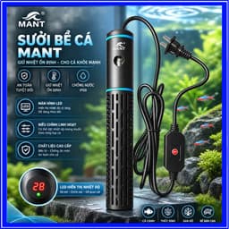 Sưởi MANT EX-GLASS Cao Cấp Công Suất 50W-500W Led Hiển Thị Nhiệt Độ Cho Bể Cá Cảnh, Bể Thuỷ Sinh 2