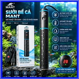 Sưởi MANT EX-GLASS Cao Cấp Công Suất 50W-500W Led Hiển Thị Nhiệt Độ Cho Bể Cá Cảnh, Bể Thuỷ Sinh 1