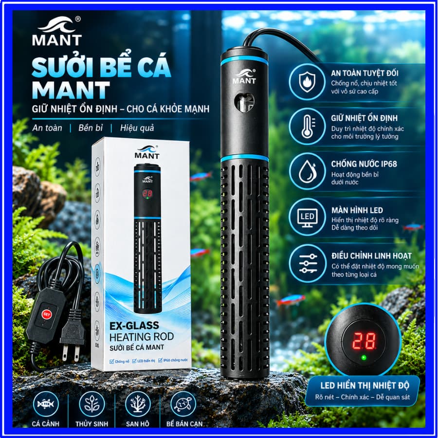 Sưởi MANT EX-GLASS Cao Cấp Công Suất 50W-500W Led Hiển Thị Nhiệt Độ Cho Bể Cá Cảnh, Bể Thuỷ Sinh