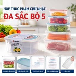 Bộ 5 Hộp Đựng Thực Phẩm Chữ Nhật Đa Sắc Việt Nhật 6516 - Hộp Nhựa Trữ Đông Tủ Lạnh An Toàn, Có Nắp Kín Khít Đa Dụng 1