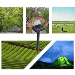Máy Đuổi Chuột Năng Lượng Mặt Trời và Máy đuổi côn trùng bằng sóng siêu âm Pest Reject/ Sonic MT610E 7