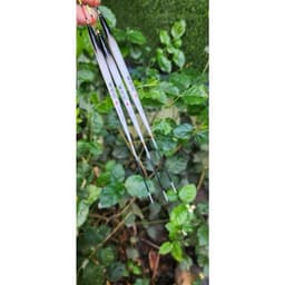 💥Phao nghệ nhân Hắc Phi câu ngày form chuyên câu Rô Phi 5