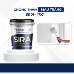 Sơn chống Thấm Tường Nhà, Sàn Mái, Sân Thượng, Máng Xối, Trần Nhà- SIRA SR01 8