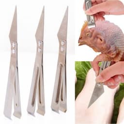 Dụng cụ nhổ lông gà vịt móng giò heo 2 trong 1 Inox - 5 pcs 3