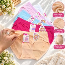 (Hàng loại đẹp)Combo 5 quần-10 quần chip cotton nữ co dãn tốt, mặc chip nữ mặc không lộ viền đẹp 1