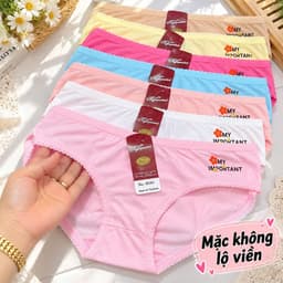 (Hàng loại đẹp)Sét 5 - 10 quần chip nữ, quần lót nữ chất cotton co dãn bốn chiều mềm mát 50-67kg đẹp 2