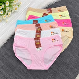 (Hàng loại đẹp)Sét 5 - 10 quần chip nữ, quần lót nữ chất cotton co dãn bốn chiều mềm mát 50-67kg đẹp 1