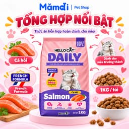[20 Gói 1KG] Thức Ăn Hạt Cho Mèo Hello Cat Daily Vị Cá Hồi - Tiết Kiệm Nhà Đông Meow 8