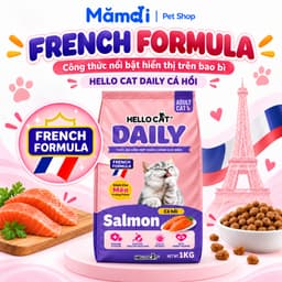[20 Gói 1KG] Thức Ăn Hạt Cho Mèo Hello Cat Daily Vị Cá Hồi - Tiết Kiệm Nhà Đông Meow 7