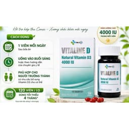 ##VITALINE D3 4000 IU (120 Viên)– Vitamin D3 Hàm Lượng Cao, Dễ Hấp Thu, Dùng Cho Người Trưởng Thành < SHOP GÀ NHÍT 6