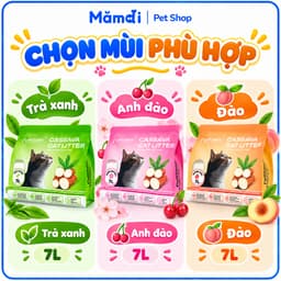 Cát Sắn Pethaven Dành Cho Mèo - An Toàn Cho Môi Trường, 7L ~ 2KG Cát Vệ Sinh Nguyên Liệu Củ Sắn 9