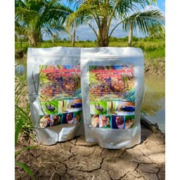 COMBO 60 TÚI TREO ĐUỔI ĐUÔNG DỪA, BÙ XÈ , KIẾN VƯƠNG CÔN TRÙNG HẠI DỪA 1