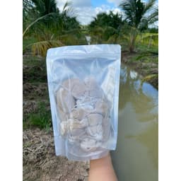 COMBO 60 TÚI TREO ĐUỔI ĐUÔNG DỪA, BÙ XÈ , KIẾN VƯƠNG CÔN TRÙNG HẠI DỪA 2
