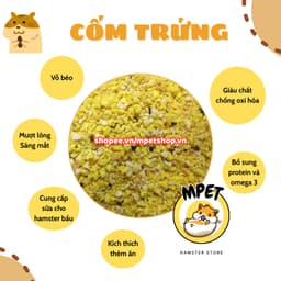 [50Gr] CỐM TRỨNG DINH DƯỠNG CHO HAMSTER 🐹🥚💛 2
