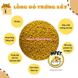 Lòng đỏ trứng sấy cho hamster [10gr/50gr] 2