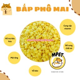 [50Gr - Snack ăn dặm] BẮP DẸP PHÔ MAI - VỖ BÉO, BỔ SUNG CHẤT XƠ, HỖ TRỢ TIÊU HÓA 2