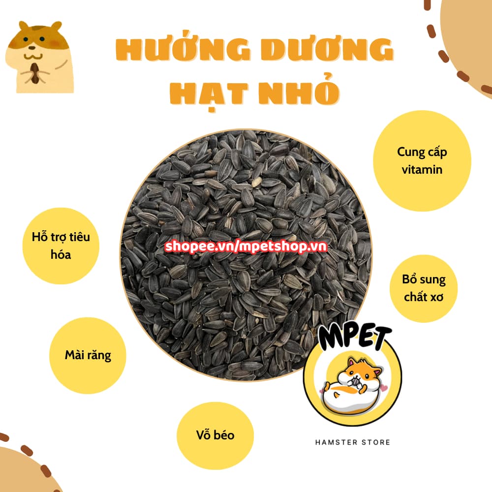 [50Gr ] HẠT HƯỚNG DƯƠNG NHỎ - MÀI RĂNG, VỖ BÉO 🥜✨