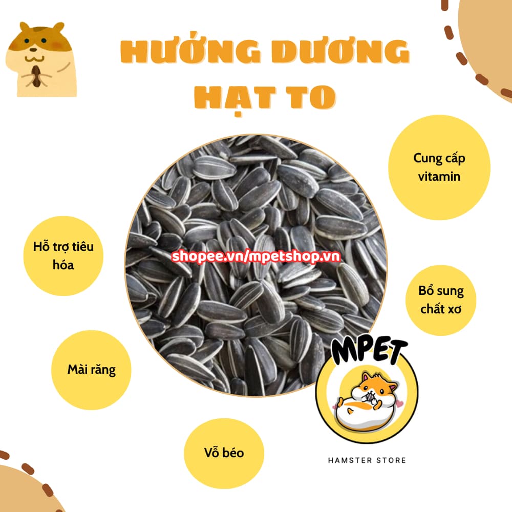 [50Gr - Snack dinh dưỡng] HẠT HƯỚNG DƯƠNG LỚN - BỔ SUNG NĂNG LƯỢNG, ĂN NGON 🥜✨